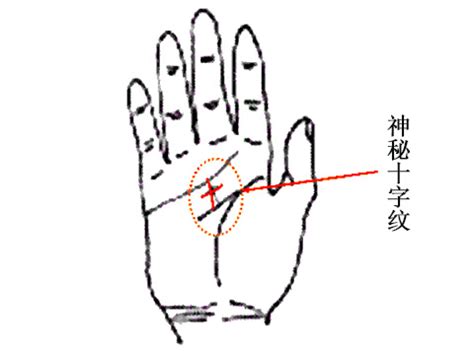 掌中十字紋|掌纹中的十字纹讲解 十字纹手相算命图解